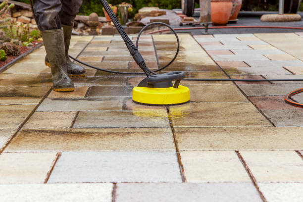 Best Pool Deck Cleaning  in La Homa, TX